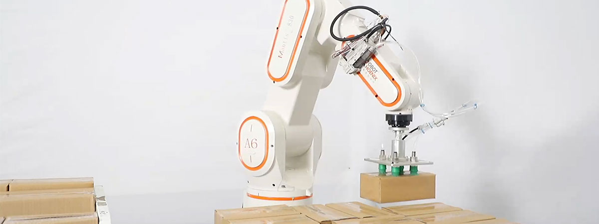 How to Choose the Right Robot Palletizing System?