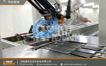 Delta Parallel Robots from Chinese Robotic Provider Work in Food Production